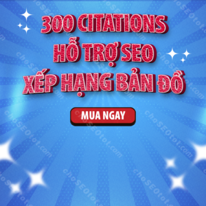 Cung cấp 300 citations địa phương để hỗ trợ SEO, THUMBNAIL 01-0