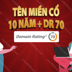 Tên miền cổ 10 năm thumbnail 01 01