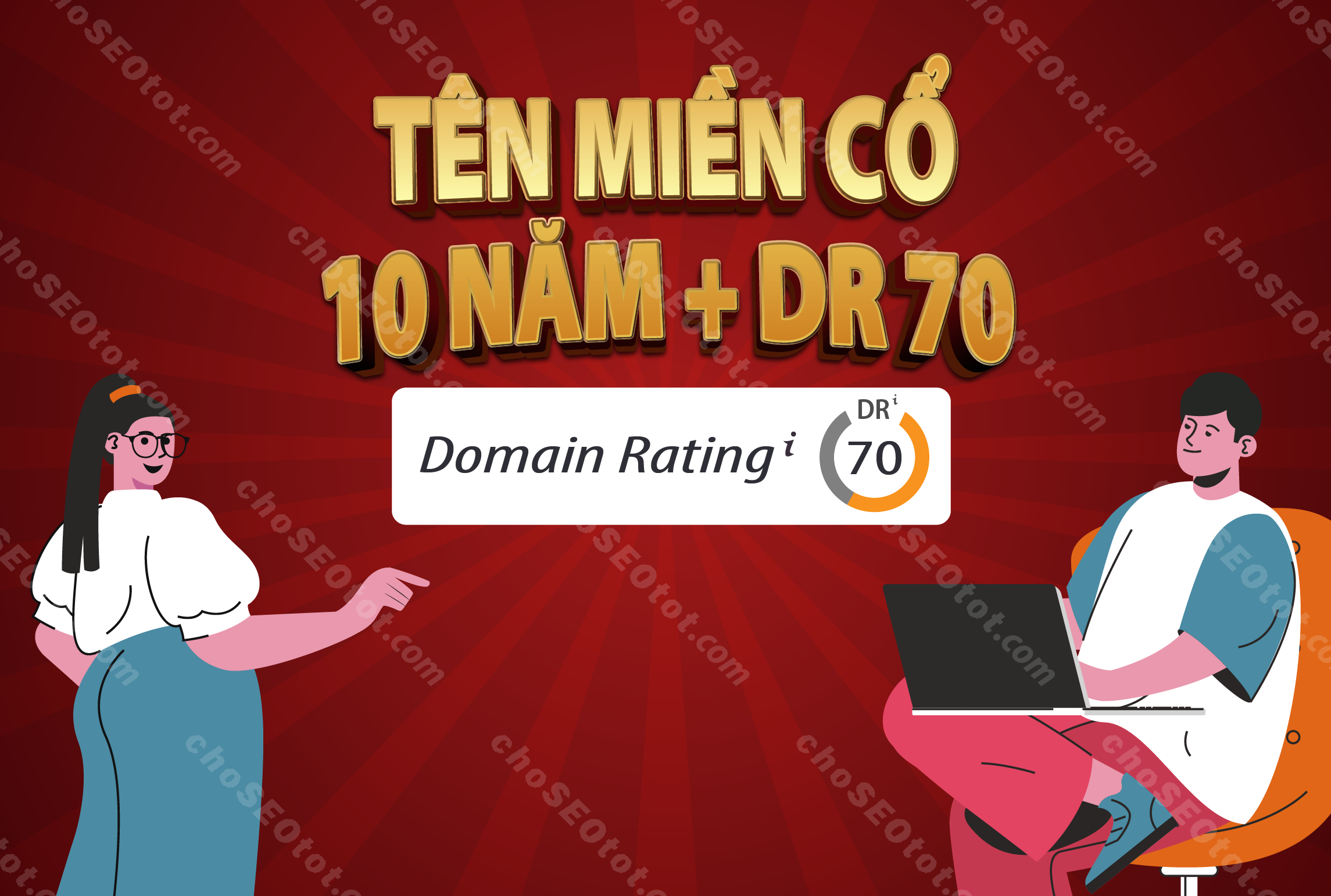 Cung cấp tên miền trên 10 năm DR 70