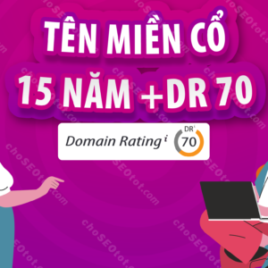 Tên miền cổ 15 năm thumbnail 01