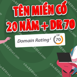 Tên miền cổ 20 năm thumbnail 01 02